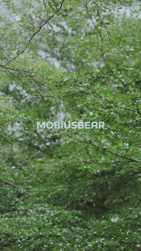 MOBIUSBEAR Lanyard